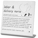 Labor and Delivery Nurse Gifts, L&D Nurse Gifts, Thank You Appreciation Gifts for Labor and Delivery Nurse Christmas Nurses Week Birthday Gifts Graduation Gifts for Nursing Students Coworker NSD7