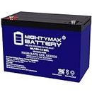 Mighty Max Battery 12V 100AH GEL Replacement Battery for Battle Born BB10012