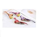 R H LIFESTYLE Multicolored DIY Artificial Bird for Decoration Craft Simulation Home Décor (Artificial Mini Birds, Pack of 4)