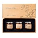 3 Pack Scented Candle Gift Set, Soy Wax Aromatherapy Candle 75 Hours Burning for Stress Relief | Meditation | Yoga | Relax, JOMWEN Jar Candles for Birthday, Valentine, Anniversary Women & Mom