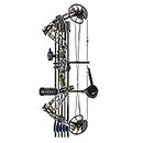 Sanlida Archery Dragon X8 RTH Compound Bow Package for Adults and Teens,18”-31” Draw Length,0-70 Lbs Weight,up to IBO 310 fps,No Press Needed,Limbs Made in USA,Limited Life-time Warranty