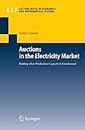 Auctions in the Electricity Market: Bidding when Production Capacity Is Constrained: 617