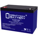 Mighty Max 12V 100AH GEL Replacement Battery for Battle Born BB10012