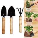 Mini Gardening Tool Set Shovel Rake Hand Trowel Home Potted Tools Garden Kit New