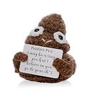 Handmade Funny Positive Poo Crochet Poo Stuffed Crafts Amigurumi Poo Plush Emotional Support Poo for Birthday Christmas Gifts Encouragement Funny Gag Gifts Graduation Gift