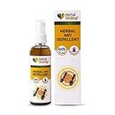 Herbal Strategi Ant Repellent Spray 100 ML | 100% herbal, eco-friendly, and biodegradable | Safe for babies, pets, and skin | Ayush Certified