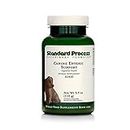 Standard Process - Canine Enteric Support - Digestive System Support for Dogs - 110 Grams