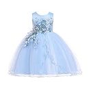 LENEFU Baby Girl Princess Bridesmaid Pageant Gown Birthday Party Wedding Dress Sleeveless Party Dresses Girl Clothes(Blue,100)