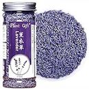 Plant Gift Dried Lavender Flowers 40G/1.41oz 薰衣草 Flores de lavanda secas - Grado premium. Perfecto para té, té de lavanda para hornear, baños. Fragancia fresca. Sin gluten, no GMO