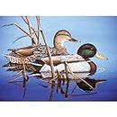 Royal Brush Paint by Number Kit, 15.375-Inch by 11.25-Inch, Blue Water Mallards