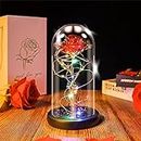 Ptesuply Beauty and The Beast Rose Lamp In the Glass Dome, Eternal Rose Artificial Flower with LED Light, Gift for Women Girl for Birthday Valentine's Day Mother's Day Christmas Anniversary