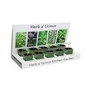 Pronto Seed Grow Your Own Kitchen Herbs - Indoor Plants - Eco-Friendly - 5 Seed Varieties - Grow Herbs, Mint, Chives, Parsley, Thyme and Basil - Gardening Gifts for Women and Men - Beginner Friendly