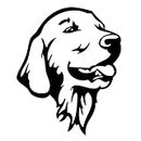 2 Unids Calcomanías Accesorios Exteriores Golden Retriever Dog Car Bumper Stickers Cute Pet Dog Calcomanías Car Styling Decoración Funny Car Bumper Sticker