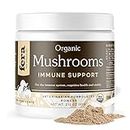 Fera Pets Mushroom Supplement for Dogs & Cats - for Cognition, Vitality & Immune System – Organic Lion’s Mane, Shiitake Mushrooms & More - 120 Scoops​