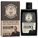 Men's Master Shampoo Repigmentante per Uomo Capelli Grigi | Con Olio di Baobab e Colorazione in 5 min | Apporta un Tono Grigio Chiaro Naturale | Senza Ammoniaca e Ossidanti, | 120 ml