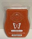 Scentsy Bar: Cider Mill NEW SCENT by Scentsy