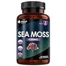 Sea Moss Tablets Extract High Strength 4000mg - Sea Moss Supplement 120 Tablets (not sea Moss Capsule) High Potency - UK Made - Vegan - Non GMO.