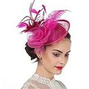 Feather Fascinator Hat with Hair Clip Flower Mesh Net Veil Wedding Race Hairpin Bowler Hat Elegant Royal Ascot Floral Derby Hat for Women Ladies Wedding Tea Party Church Cocktail Hair Accessories