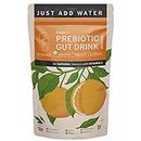 Iyurved Good For Digestion, Immunity, Brain Health, Allergies, Metabolism (Sugar Free): Iyurved Family Prebiotic Gut Drink Powder Orange, 175 Gm