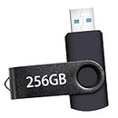 USB Flash Drive 256GB, Portable Thumb Drive: Memory Stick 256GB, Large Capacity USB Drive with Keychain, High-Speed USB 2.0 Data Storage Flash Drive 256GB for PC/Laptop