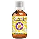 Deve Herbes Reines Angelica Ätherisches Öl (Angelica archangelica) 100% Natürliche Therapeutische Qualität dampfdestilliert 5ml (0.16oz)