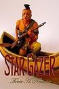 Star Gazer (Blue Thunder Book 3) (English Edition)