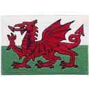 EmbTao Wales Flag Patch Embroidered Morale Applique Iron On Sew On Welsh Emblem