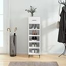 RAUGAJ Nice Cabinets & Storage-Shoe Cabinet High Gloss White 30x35x105 cm Madera de ingeniería