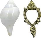 Centorganic Blowing Shankh for Pooja Original Conch Shell with Brass Stand (5.5 Inch, Medium)