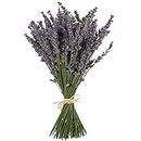 TooGet Natural Lavender Bundles, Freshly Harvested 200+ Stems Dried Lavender Bunch 16" - 18" Long, Decorative Flowers Bouquet for Home Decor, Crafts, Gift, Wedding or Any Occasion