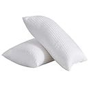 YOUMAKO Pillows for Sleeping 2 Pack, Queen Size Fluffy Bed Pillow for Side Back Stomach Sleepers, Soft Plush Gel Down Alternative Neck Pillow with Breathable Cover