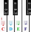 Piano Stickers for Keys,Colorful Piano Keyboard Stickers for 49/61/ 76/88 Key Ke