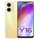 Vivo Y16 (Drizzling Gold, 4GB RAM, 64GB Storage) with No Cost EMI/Additional Exchange Offers