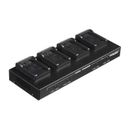 Dolgin Engineering Four-Position Battery Charger for Sony NP-FZ100 TC40-SON-FZ100