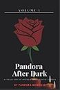 Pandora After Dark Vol. 1: A Collection of Poems & Short Erotic Stories