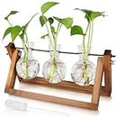 Plant Propagation Station, Plant Terrarium Container with Wooden Stand Flower Planter Hanging Glass for Hydroponic Plants Home Office Garden Decor (3 Bulb Glass Vases)