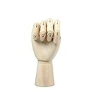 MEETOZ 7 Inch Wooden Hand Model Flexible Moveable Fingers Manikin Hand Figure Hand Model for Drawing, Sketching, Painting(Right Hand)
