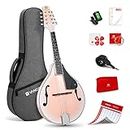 A Style Mandolin Acoustic Electric Mandolins Instrument for Beginner Adults Red Sunburst Mahogany with Gig Bag Picks Strings Tuner Strap, by Vangoa