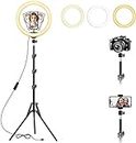 10 inch LED Ring Light with 3 Color Mode Dimmable Lighting Kit with Stand, Filter and Adapter for Camera Photo Studio LED Lighting Portrait YouTube Video Shooting