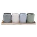 DEI Speckled Planter with Tray, 5 Piece Set, Multicolored