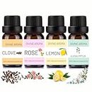 DIVINE AROMA Smell Training Kit Stimulating Aromatherapy Set 100% Pure & Natural Clove,Rose,Eucalyptus & Lemon Essential Oils Smell Therapy Kit