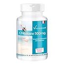 Chitosan 500mg - Chitosan - 240 comprimés - Bloqueur de graisse - Aide à la perte de poids - Flacon avantageux | Vitamintrend®