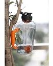 Beast 2.0 Sports Gallon Bottle 1.5 L With Mixer Ball And Strainer