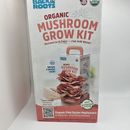 Organic Oyster Mushroom Grow Kit, Harvest Gourmet Mushrooms in 10 Days Mushroom