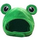 zmgmsmh Cute Plush Frog hat Scarf Cap Ears Winter ski hat Full Headgear Novelty Party Dress up Cosplay Costume Green