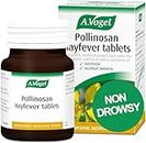 A.Vogel Pollinosan Hayfever Tablets | Non Drowsy | Hayfever Relief - Itchy Eyes, Nose & Throat | 120 Tablets