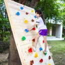 goodwish 30 Rock Wall Climbing Holds For , Large Climbing Rocks For Indoor Outdoor Play Set | 4.2 H x 5.2 W x 1.5 D in | Wayfair 83-1433456