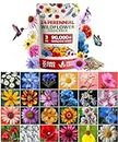 Wildflower Seeds | Bulk Mix of 24 Different Varieties of Non-GMO Wildflower Seeds 3oz | Bee and Butterfly Garden Seeds | Colorful Perennial Flower Seeds | American Wildflower Seeds for Your Garden