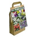 GreenBrokers 101 Promo Pack Collection Summer Flowering Bulbs, Mixed Colours (101 Bulbs, 5 Different Varieties) "Bee & Butterfly Friendly"