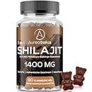 Shilajit-Gummis 1400mg, Shilajit-Ergänzung mit Chaga und Ashwagandha für Männer und Frauen, reich an 85+ Mineralien, hergestellt aus reinem Himalaya Shilajit-Harz, zuckerfrei